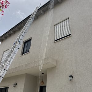 סולם ורשת מותקנים על קיר בית להסרת יונים