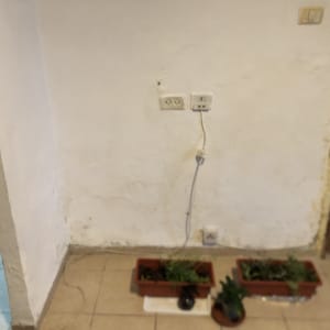 קיר עם שקעי חשמל ועציצים על הרצפה