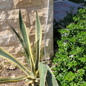 צינור מיזוג אוויר מחובר לקיר אבן חיצוני