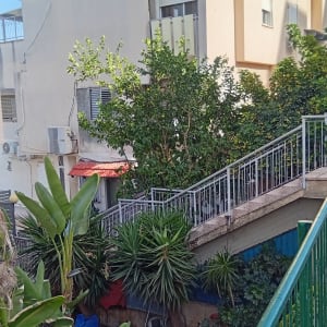 צמחים ועצים בגינה ליד בניין מגורים