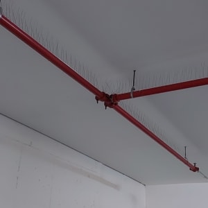 צינור אדום עם דוקרנים למניעת יונים בתקרה