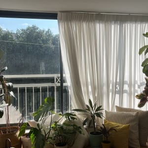 חלון מלוכלך עם וילון לבן וצמחים