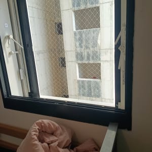 חלון עם רשת למניעת כניסת יונים