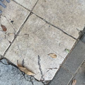 רצפה סדוקה עם עלים יבשים ונעל עבודה