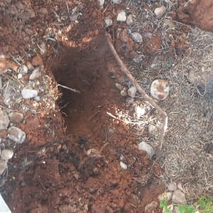 בור באדמה עם כלי חפירה לידו