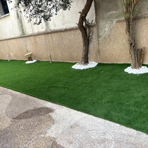 דשא סינתטי עם עצים ואבנים לבנות
