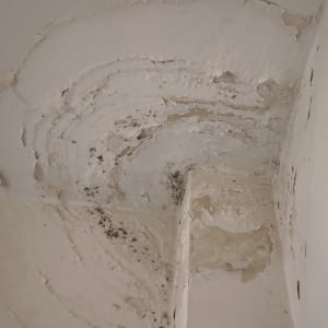 נזקי רטיבות ועובש בתקרה