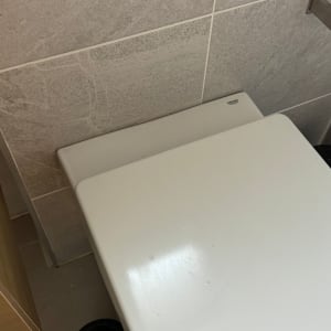 מכסה אסלה וחלק מקיר אריחים בחדר אמבטיה