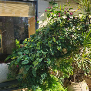 גג עם סוכך כחול ומבנה בטון