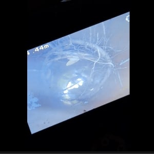 צילום מסך של צינור עם שורשים