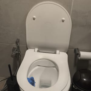 אסלה עם מברשת ושירותים בחדר אמבטיה