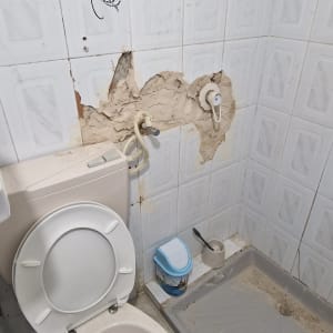 חדר אמבטיה עם שירותים, מקלחת וקיר פגום