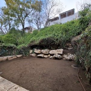 אדמה חשופה עם אבנים וצמחייה מסביב