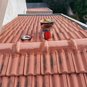 תיקון גג רעפים עם מברשת ודלי צבע