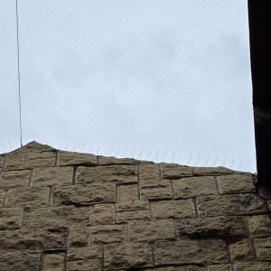 רשת למניעת כניסת יונים על קיר אבן