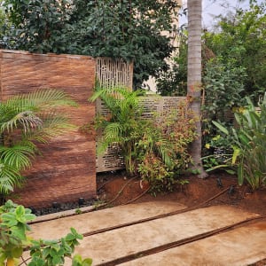 גינה עם צמחים, שביל אבן ועצים