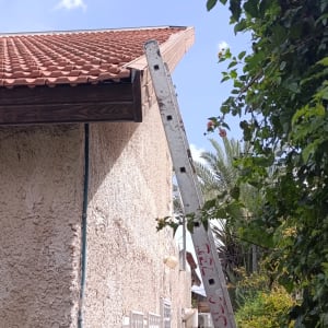 סולם ליד גג רעפים עם צמחייה מסביב