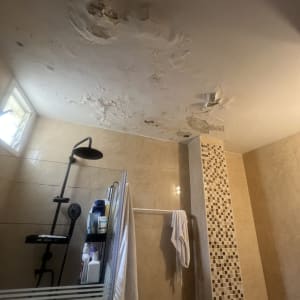 תקרה עם נזקי מים במקלחת, ראש מקלחת ומוצרי ניקוי