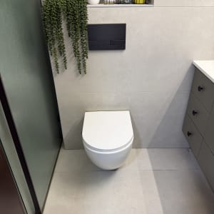 אסלה תלויה על קיר