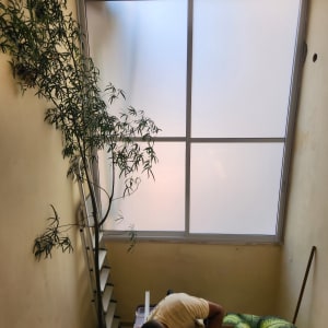 אדם עובד ליד חלון אלומיניום עם צמחייה מסביב