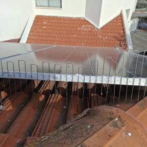 התקנת דוקרנים על גג רעפים למניעת יונים