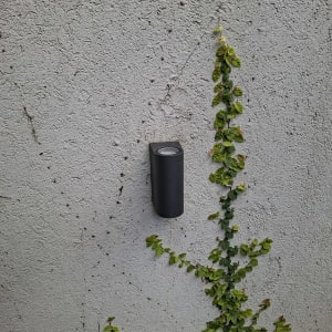 מנורה על קיר עם צמח מטפס