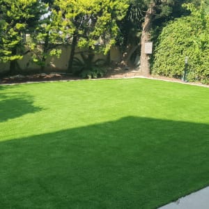 דשא ירוק ועצים מסביב לגינה