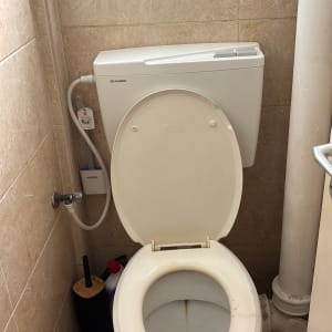 אסלה עם מיכל הדחה ומברשת ניקוי