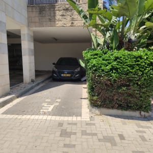 רכב חונה ליד שיחים ועצים ירוקים