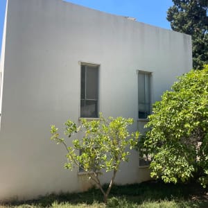 בניין עם עץ ולד בחצר