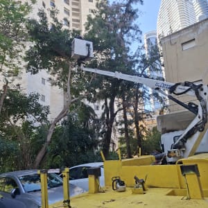 משאית עם מנוף ליד עצים ובניינים גבוהים