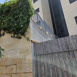 צמח מטפס ירוק על קיר אבן