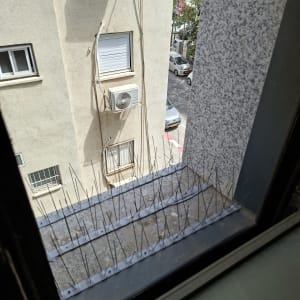 דוקרנים להרחקת יונים על אדן חלון