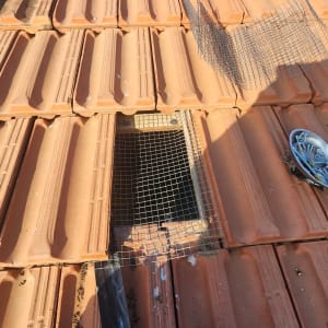 רשת מתכת על גג רעפים למניעת כניסת יונים