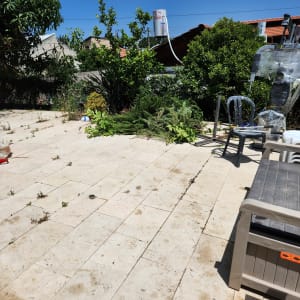 צמחים וגזם על רצפת אבן בגינה