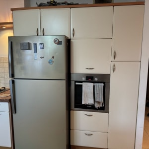 מקרר נירוסטה, תנור בילט-אין ומגבות תלויים