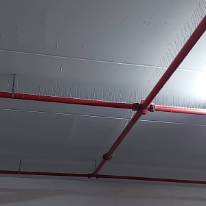 צינורות אדומים עם דוקרנים למניעת יונים בתקרה