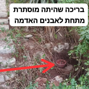 בריכה מוסתרת מתחת לאבנים ואדמה בגינה