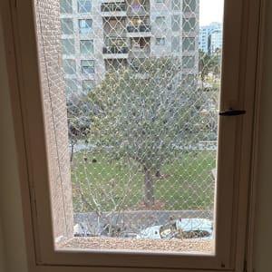 רשת על חלון למניעת כניסת יונים