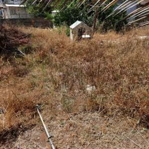 כלי גינון על הקרקע בין עשבים יבשים