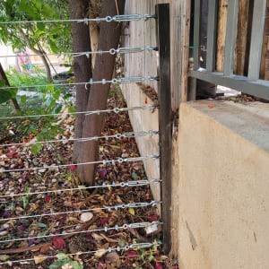 חוטי מתכת מתוחים בין עמודים בגינה