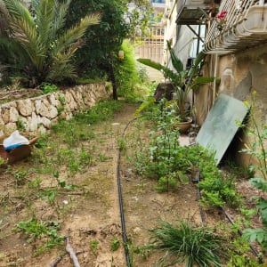 צינורות השקיה בגינה עם צמחים ועציצים