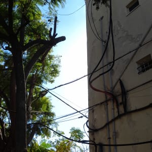 עץ גזום ליד בניין עם חוטי חשמל