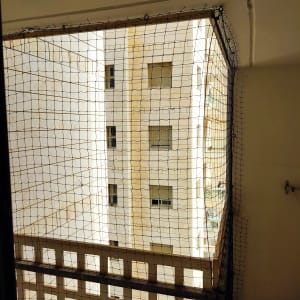 רשת מותקנת למניעת כניסת יונים במרפסת