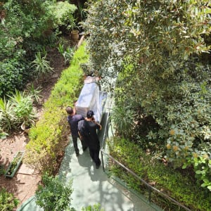 שני אנשים מובילים חפץ גדול עטוף בגינה ירוקה