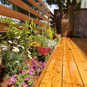 גינה עם פרחים צבעוניים ועץ גדול