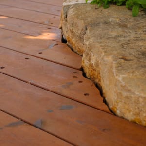 דק עץ ליד אבן גדולה עם צמחייה ירוקה