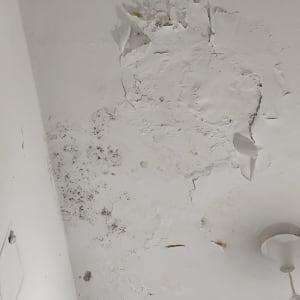 תקרה מתקלפת עם סימני רטיבות ועובש