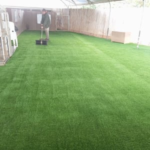 אדם מטאטא דשא סינתטי בחממה