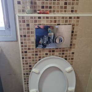 לחצן הדחה בשירותים עם כיור וסבון